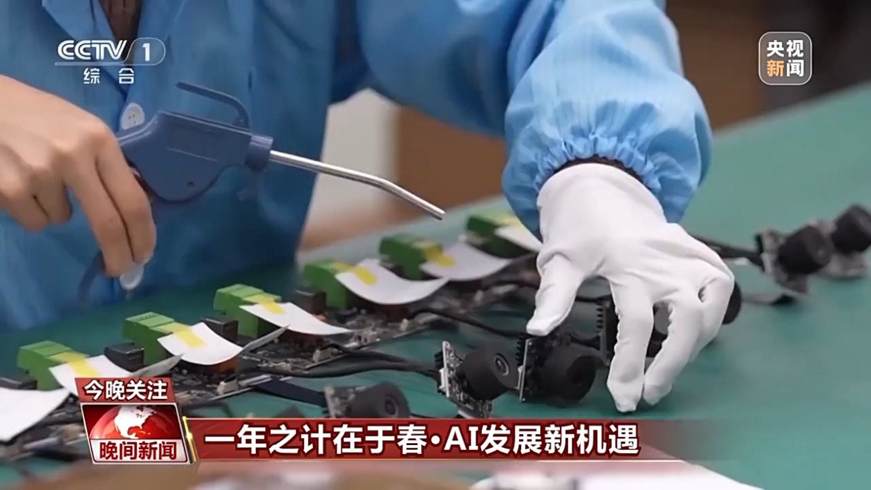 他们的