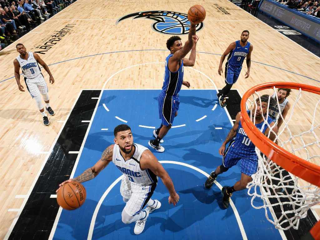 应与欧洲各 应与欧洲各