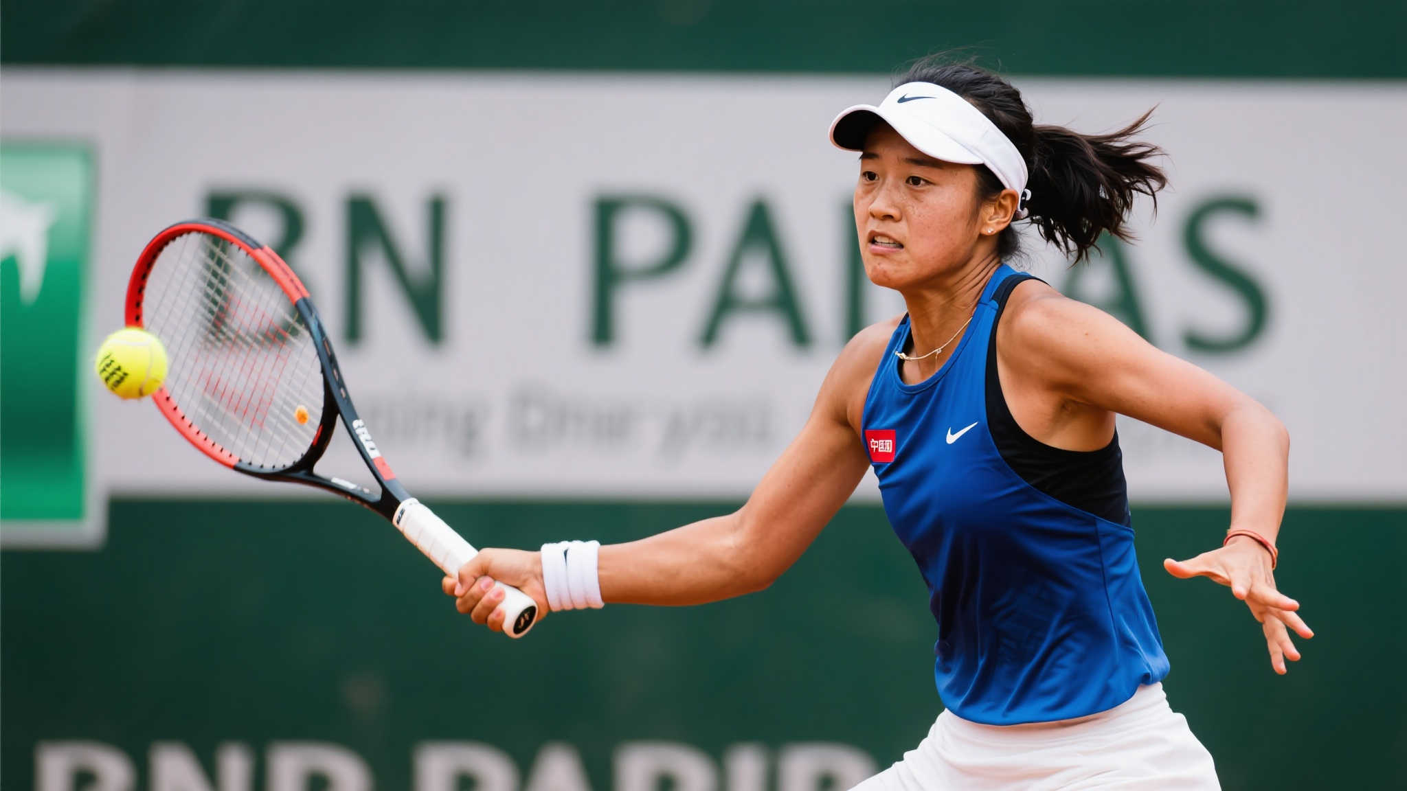 替代的地位 替代的地位